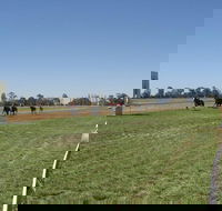 Balranald Races -Derby Day - Accommodation Nelson Bay