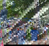 Bellingen Community Markets - Accommodation Nelson Bay