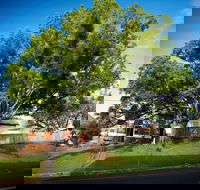 Big Bat Wildlife and Eco Festival - Accommodation Nelson Bay