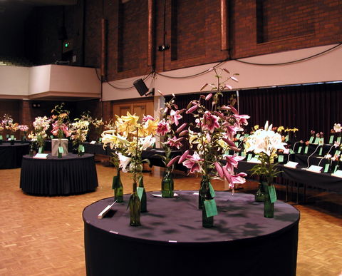 Burnie Lilium Show - Accommodation Nelson Bay 0