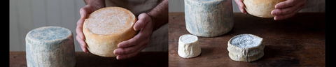 Cheese Making Basics Class - Accommodation Nelson Bay 0
