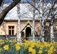 Daffodils at Rydal - Accommodation Nelson Bay
