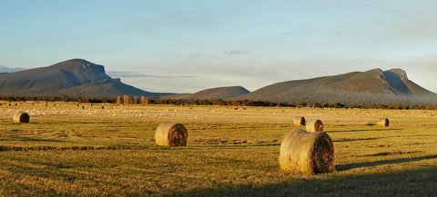 Digital Innovation & Smart Agriculture 2021 Festival - Accommodation Nelson Bay 1