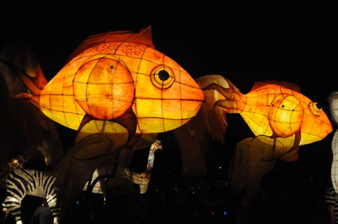 DREAM Festival: Music And Markets Event - Accommodation Nelson Bay 2