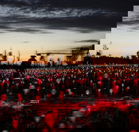 Field of Light Uluru - Accommodation Nelson Bay