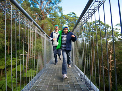 Get Back To Nature These July School Holidays! - Accommodation Nelson Bay 0
