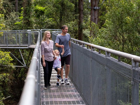 Get Back To Nature These July School Holidays! - Accommodation Nelson Bay 1