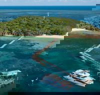 Great Adventures Green Island Ocean Swim - Accommodation Nelson Bay