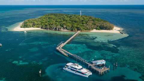 Great Adventures Green Island Ocean Swim - Accommodation Nelson Bay 0
