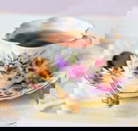 High Tea on the Turf - Accommodation Nelson Bay