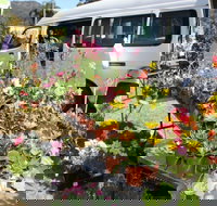 Johns River Country Markets - Accommodation Nelson Bay