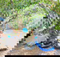 Jungle Love Festival - Accommodation Nelson Bay