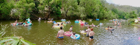 Jungle Love Festival - Accommodation Nelson Bay 1