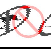 Kangaroo Hoppet - Accommodation Nelson Bay