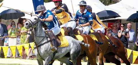Land Rover Polo In The City Brisbane - Accommodation Nelson Bay 0