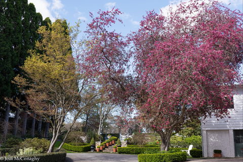 Leura Gardens Festival - Cancelled - Accommodation Nelson Bay 0
