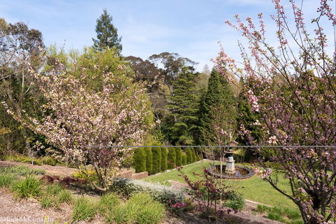 Leura Gardens Festival - Cancelled - Accommodation Nelson Bay 2