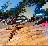Maleny Wood Expo From Seed to Fine Furniture - Accommodation Nelson Bay