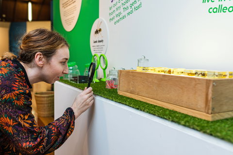 Minibeasts - Accommodation Nelson Bay 0