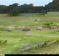 Mount Gambier and District Pony Club Horse Trials 2020 - Accommodation Nelson Bay