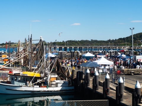 Ocean Harvest Festival - Accommodation Nelson Bay 0