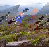 Peaks and Trails Run - Accommodation Nelson Bay