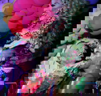 Port Douglas Hot and Steamy Festival - Accommodation Nelson Bay