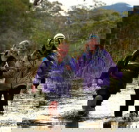 Serra Terror - Accommodation Nelson Bay