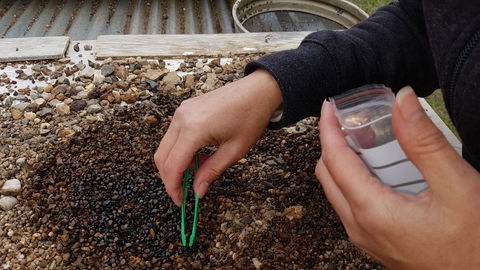 The Minerama Fossicking, Gem And Jewellery Show - Accommodation Nelson Bay 1
