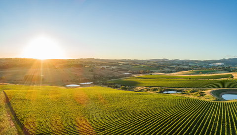 Wine And Food At Altitude - Accommodation Nelson Bay 0