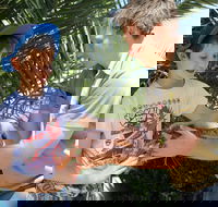 Zoocation at the National Zoo  Aquarium - Accommodation Nelson Bay