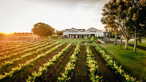 Aged Wine And Vintage Pies - Accommodation Nelson Bay 2