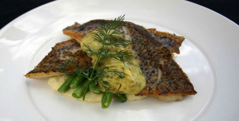 Aquarius Seafood Restaurant - Accommodation Nelson Bay 2