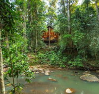 The Canopy Rainforest Treehouses and Wildlife Sanctuary - Accommodation Nelson Bay