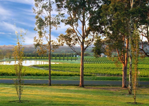 Estate Tuscany - Accommodation Nelson Bay 6