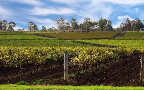 Estate Tuscany - Accommodation Nelson Bay 3