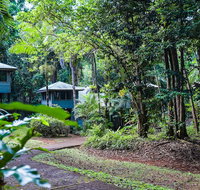 Ferntree Rainforest Lodge - Accommodation Nelson Bay