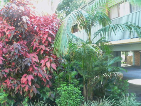 Port Stephens Motel - Nelson Bay Accommodation.com 0