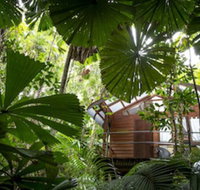 Daintree Wilderness Lodge - Accommodation Nelson Bay