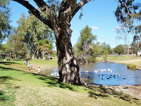 Best Western Bungil Creek Motel - Accommodation Nelson Bay 4