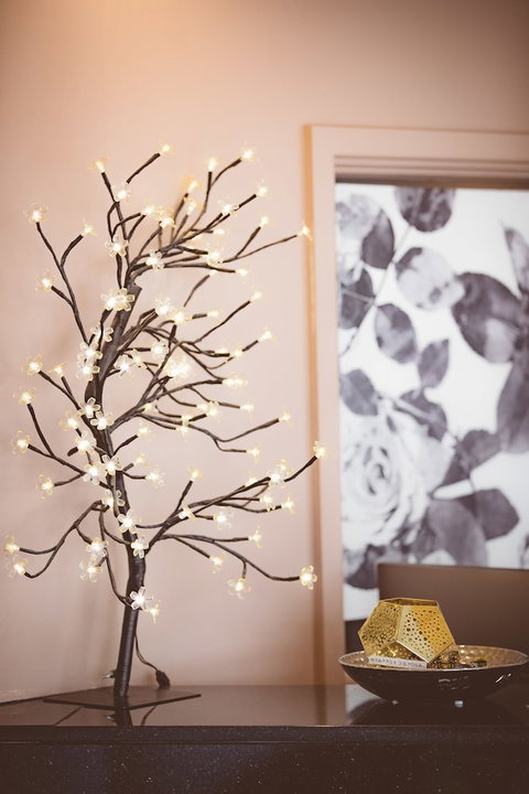 Garden Lodge Sydney - Accommodation Nelson Bay 2