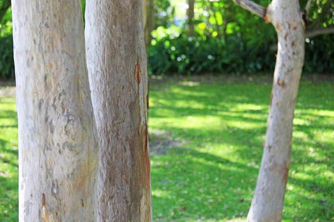 The Retreat Port Stephens - Accommodation Nelson Bay 2