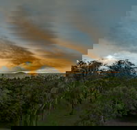Ocean International - Accommodation Nelson Bay