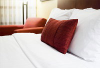 Cape Tribulation QLD Accommodation Nelson Bay