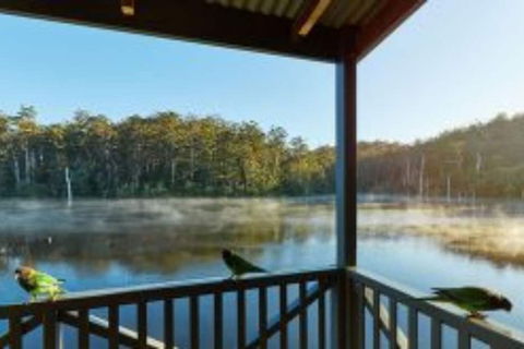 RAC Karri Valley Resort - Accommodation Nelson Bay 5