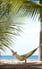 Kewarra Beach Resort & Spa - Accommodation Nelson Bay 6