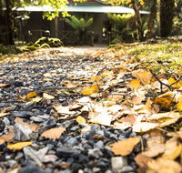 Cradle Forest Inn - Accommodation Nelson Bay
