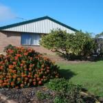 Lemontree Cottage - Accommodation Nelson Bay 0
