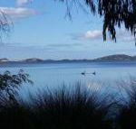 Lilacs Waterfront Villas  Cottages - Accommodation Nelson Bay