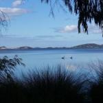 Lilacs Waterfront Villas & Cottages - Accommodation Nelson Bay 0